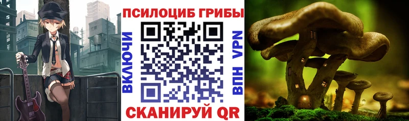 Псилоцибиновые грибы мухоморы  ОМГ ОМГ рабочий сайт  Удомля 
